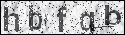 human verification image