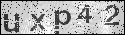 human verification image