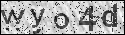 human verification image