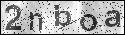 human verification image