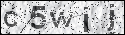 human verification image