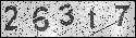 human verification image