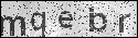 human verification image