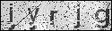 human verification image