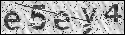 human verification image