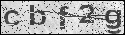human verification image