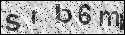 human verification image