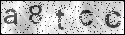 human verification image