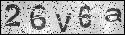 human verification image