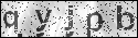 human verification image