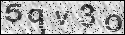human verification image