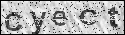 human verification image
