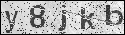 human verification image