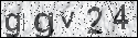 human verification image