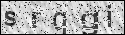 human verification image