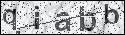human verification image