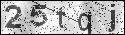 human verification image