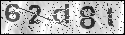 human verification image