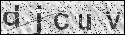 human verification image