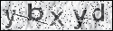 human verification image