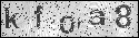 human verification image