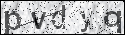 human verification image