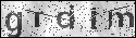 human verification image