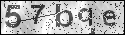 human verification image