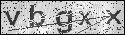 human verification image