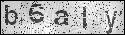 human verification image