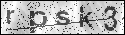 human verification image