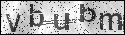 human verification image