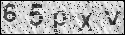 human verification image