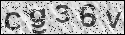 human verification image