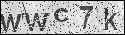human verification image