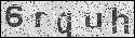 human verification image
