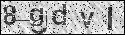 human verification image