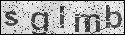 human verification image