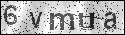 human verification image