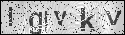 human verification image