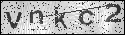 human verification image