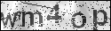 human verification image
