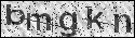 human verification image