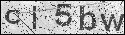 human verification image