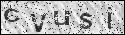 human verification image
