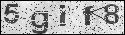 human verification image