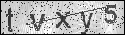 human verification image