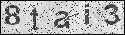 human verification image