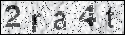 human verification image