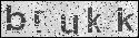 human verification image